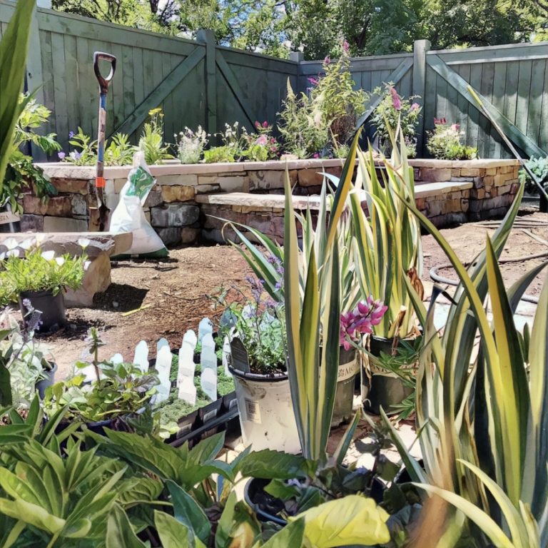 Plants