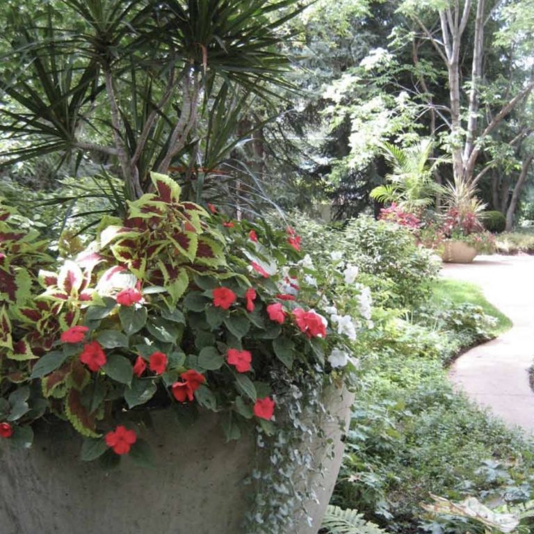 hanging plants in garden