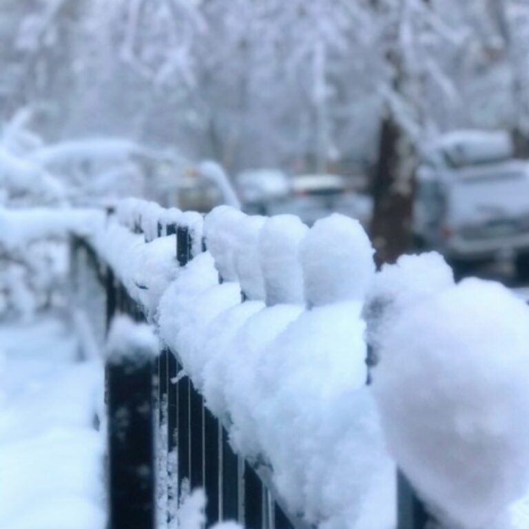 Snow around fences
