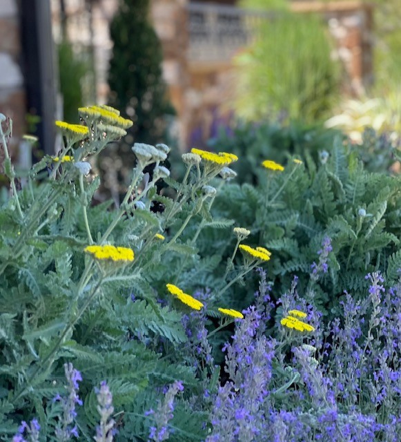 Airbnb landscaping Airbnb landscaping