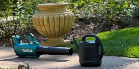 Gardening & Landscape Maintenance for Your Airbnb 1